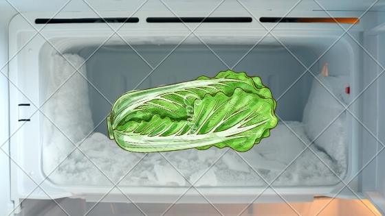 白菜冷凍